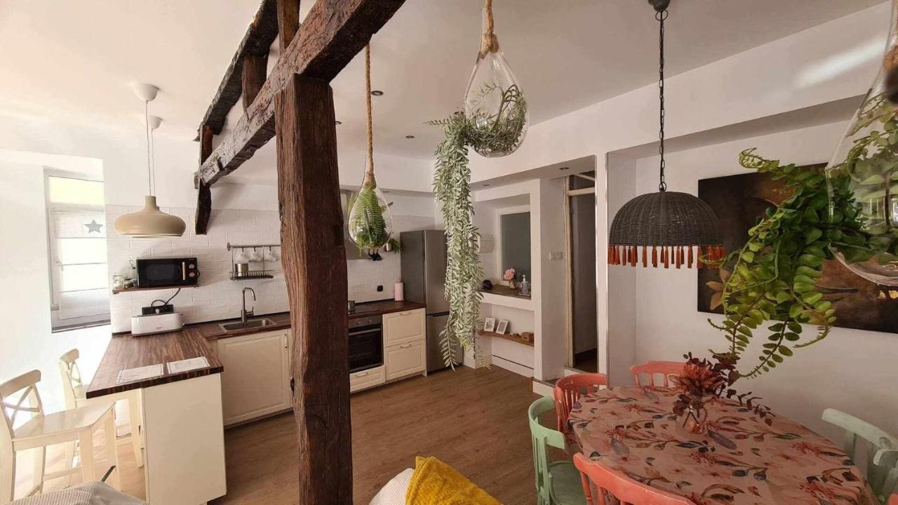 Apartamento Ichigoichie Lekeitio Exteriér fotografie
